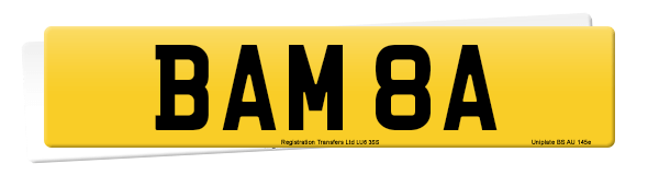 Registration number BAM 8A